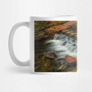 Stepping Stones, Tollymore Forest Park Mug